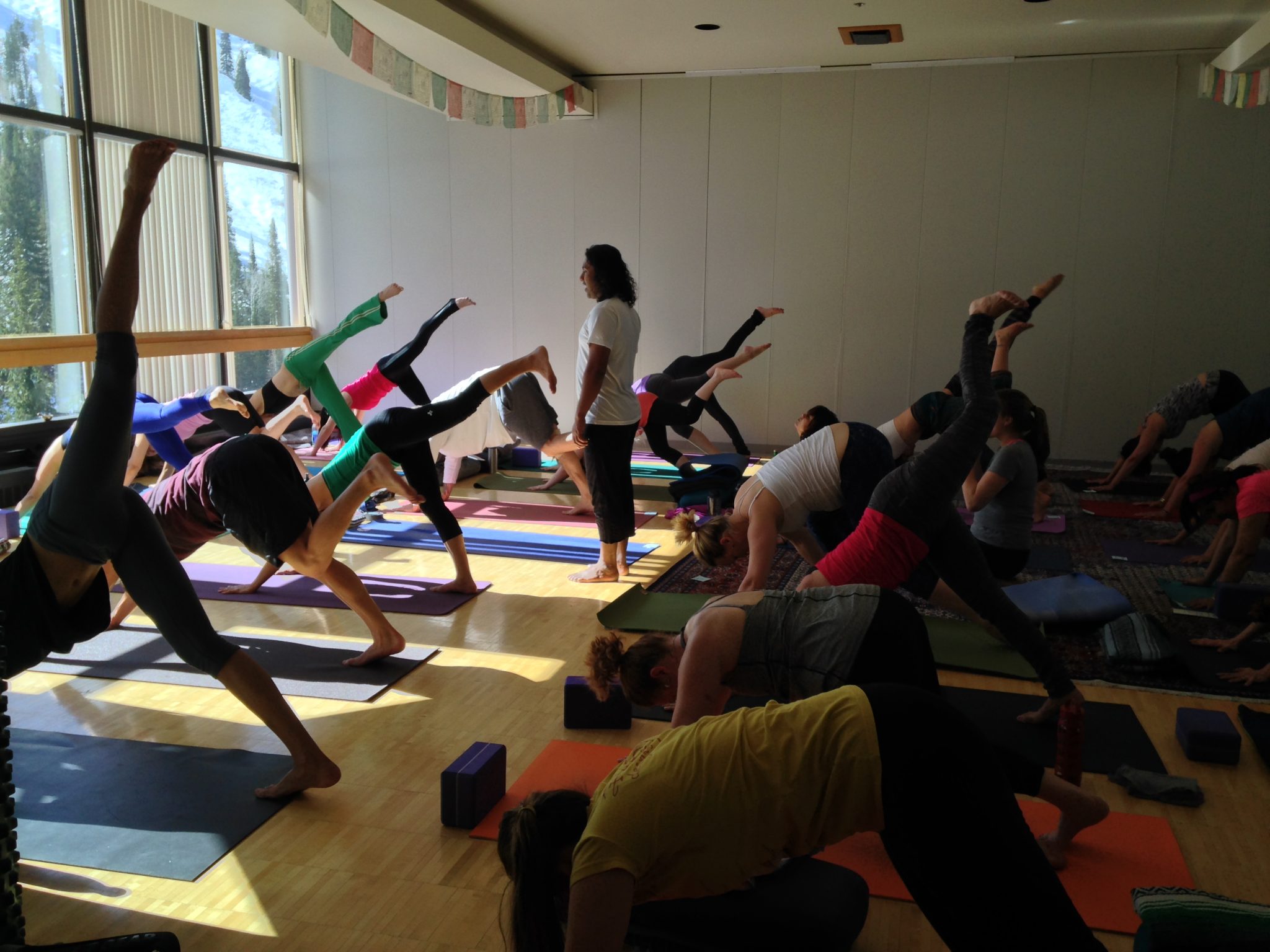 Group of people taking yoga training sessions | Santosh Yoga Institute in Salt Lake City, UT